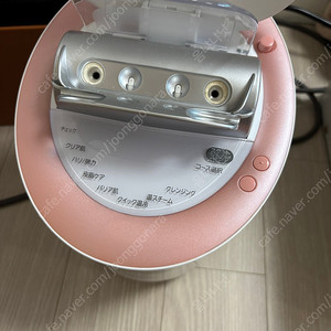 파나소닉 페이스 스티머