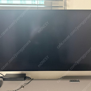LG 울트라기어 32GS95UE OLED 모니터 판매합니다.