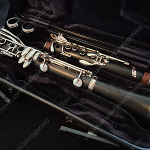 부페 토스카 Bb 클라리넷 (Buffet Tosca Bb Clarinet) 61만번대