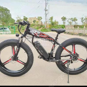 전기자전거 팻바이크 fatbike 21단입니다
