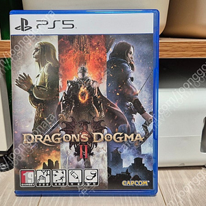 PS5 드래곤즈 도그마2