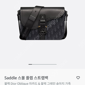 디올 새들백