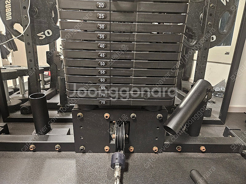 인벤탑 미니랙+랫타워, 에프몬 덤벨, 로버스트 원판 팝니다.--1