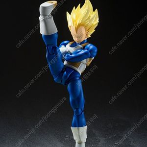 shf 드래곤볼 베지터 개봉 박스보관 제품 판매합니다.