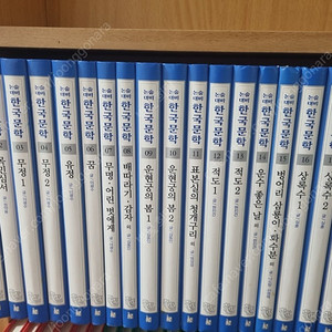 논술 대비 한국 문학
