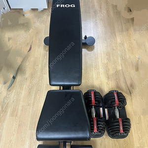 FROG 인클라인벤치 + 무게조절덤벨 2개
