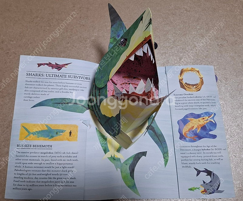 (영어원서)pop-up book_뉴욕,런던,서울/르네상...--1