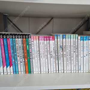 노빈손시리즈 42권