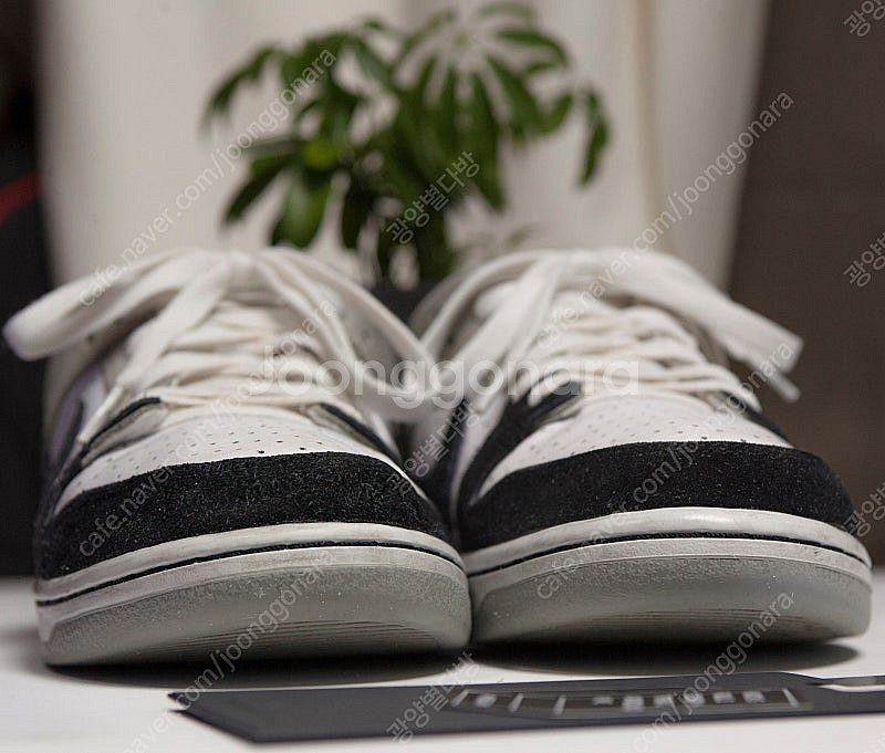 나이키 SB 덩크 로우 프로 클로로필 (270)--5