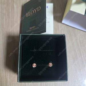 로이드 14k 귀걸이 lpfl3012g 택포 5만