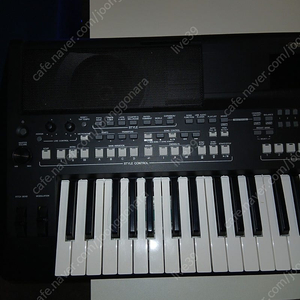 야마하 sx600