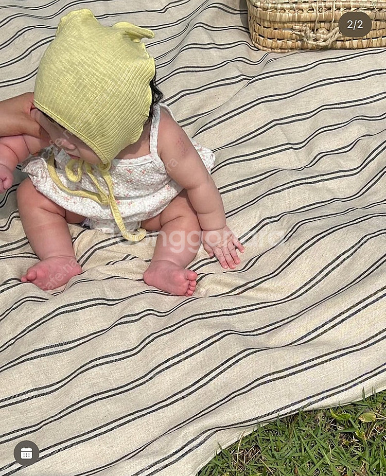 오뉴데이 꽃와플 세트 xs--1