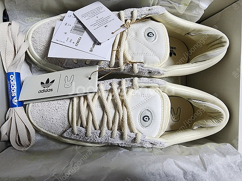 아디다스 배드버니 캠퍼스--0