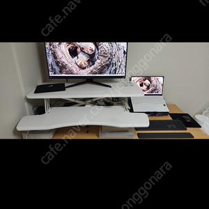 루나랩 전동데스크 모션데스크