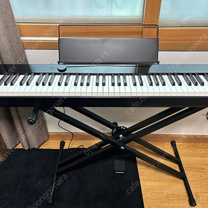 디지털 피아노 Casio PX-1100