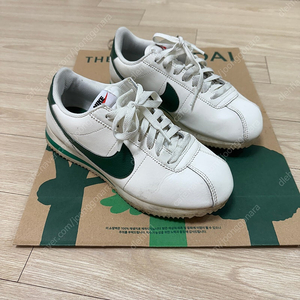 나이키 코르테즈 그린 245