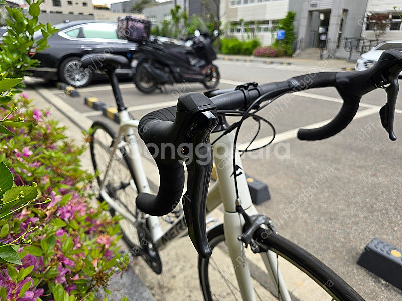 22년식 메리다 스컬트라 100--6