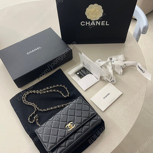 샤넬 트렌디cc woc 29번대