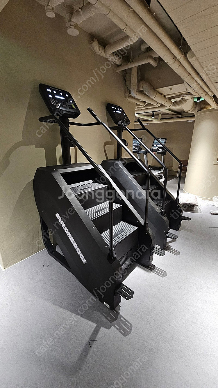 뉴텍 헬스기구, 천국의계단 30대 팝니다--0