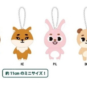 데이식스 데니멀즈 백참구해요