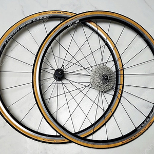 DT Swiss RR22 Dicut