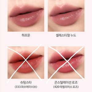 에스티로더 홀리데이컬렉션 퓨어컬러 립스틱 2개 일괄 하프문 셀레스티얼누드