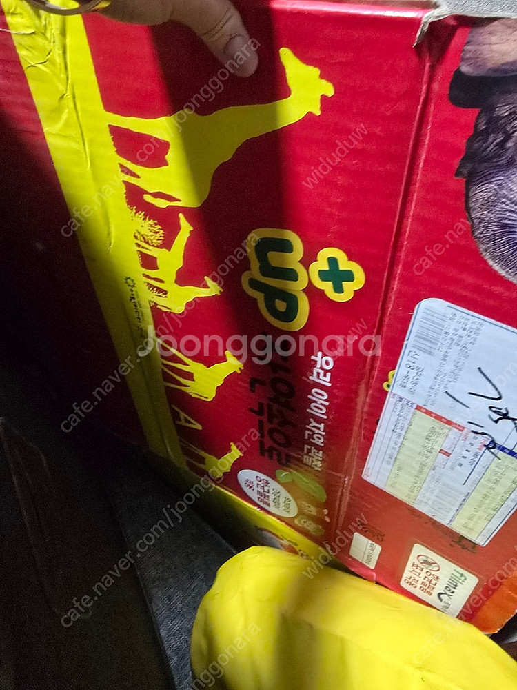 여원미디어 자연속으로 +up 개정편 바이이러스편 전권--0