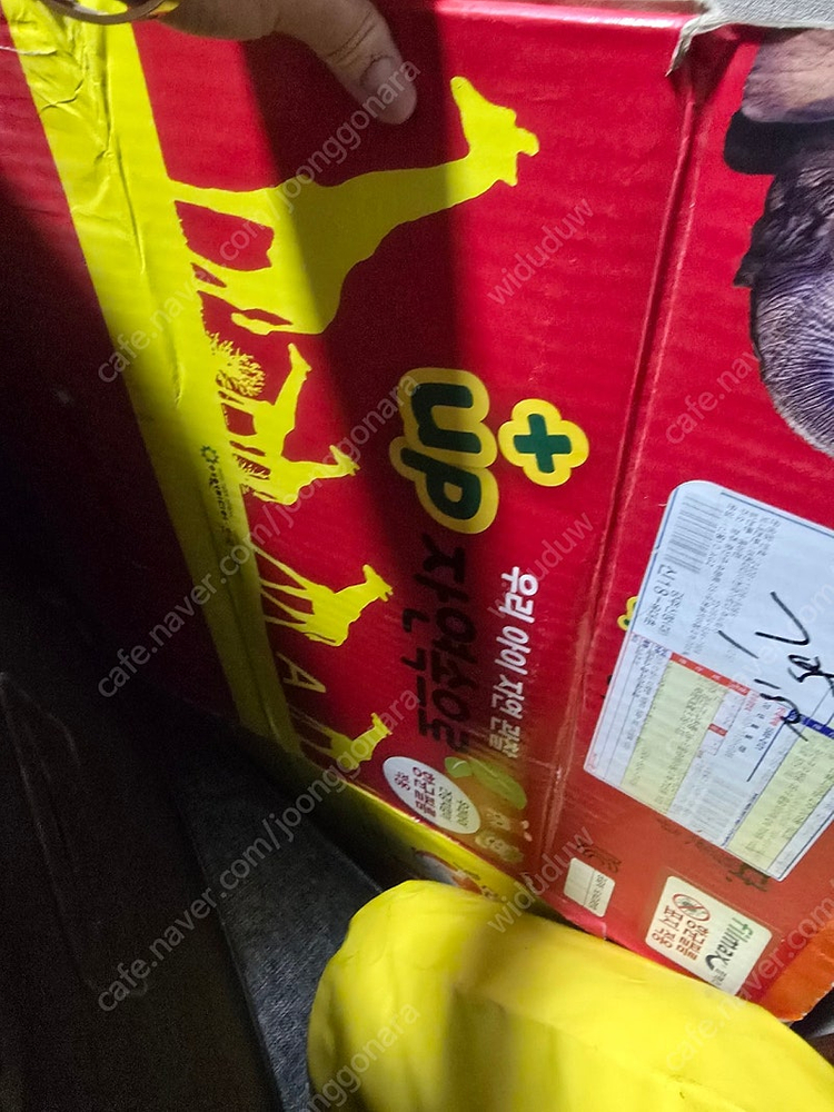 여원미디어 자연속으로 +up 개정편 바이이러스편 전권--0