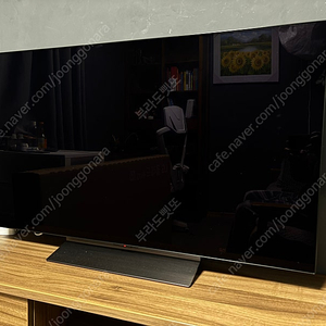 LG OLED 4K 120hz TV 48C4ENA 매직리모컨