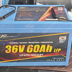 36V.60AㅡGSP정품인산철