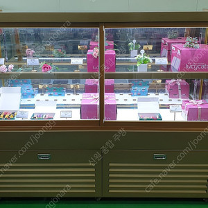 카페용 마카롱 샌드위치 디저트 정육 숙성 bkc 냉동냉장쇼케이스 앞1단 뒤2단 저온콤프
