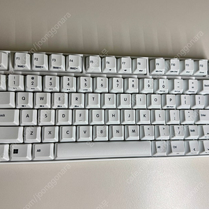 리얼포스 rc1 화이트 30g 풀박스