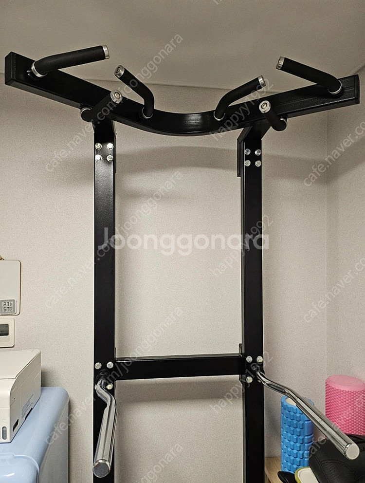 건강한형제들 치닝디핑 턱걸이--0