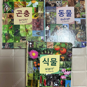 연두비 포켓도감 3권