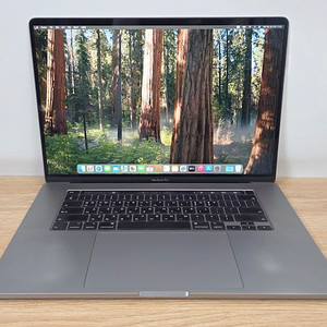 [애플] 2019 맥북프로 16인치 i7/16G/512G/라데온Pro5300M 스그 MVVJ2KH/A