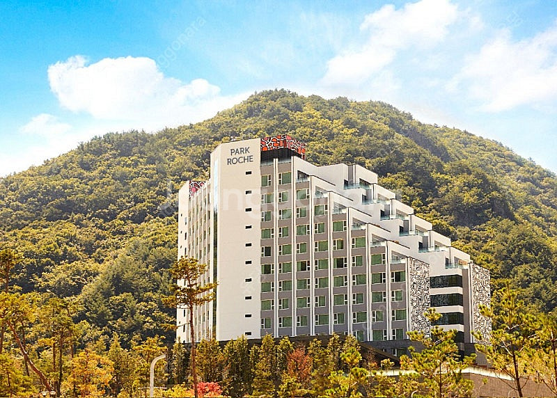 파크로쉬 앤 웰니스 리조트 호텔 숙박권 바우처--0