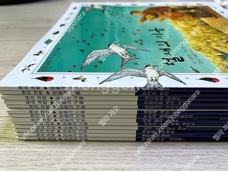 유아초등 과학 동물식물 페이퍼북/ 와이즈팍스 원리과학 동물과식물 13권 전권--0