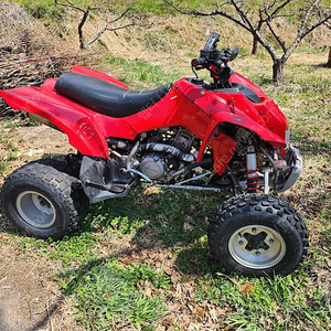 효성.TE450.매뉴얼.ATV.명기.450CC.사발이.묻따.