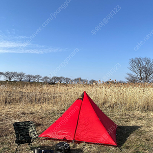 텐트마크디자인 판다