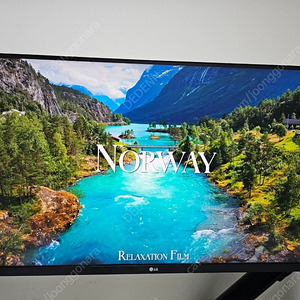 LG 32인치 QHD 모니터 32QN600