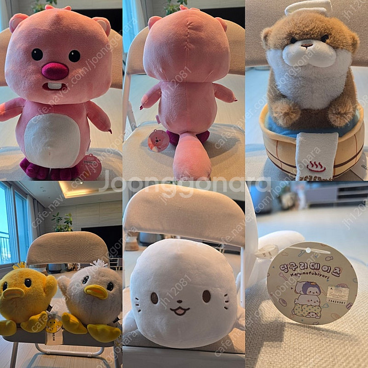 새상품 택달린 인형 대량판매--0