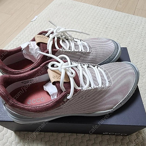 ECCO 여성 골프화