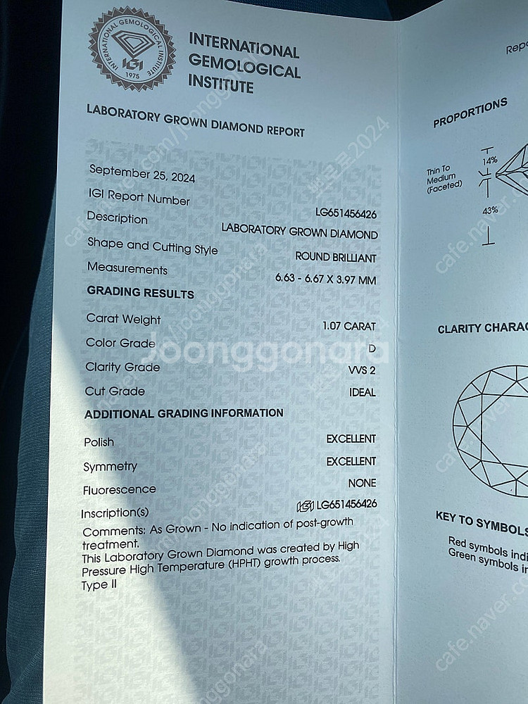 IGI 랩그로운 다이아몬드 1캐럿(39만원,1.07ct...--0