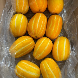 성주 꿀 참외 가격 대폭 인하 / 산지직송 / 당도높은 참외 / 아삭아삭 / 에어셀 포장 /