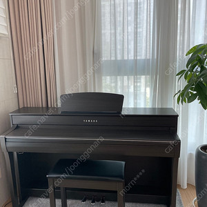 야마하 피아노 CLP735