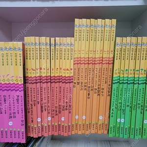 플러스업 자연속으로(개정판)