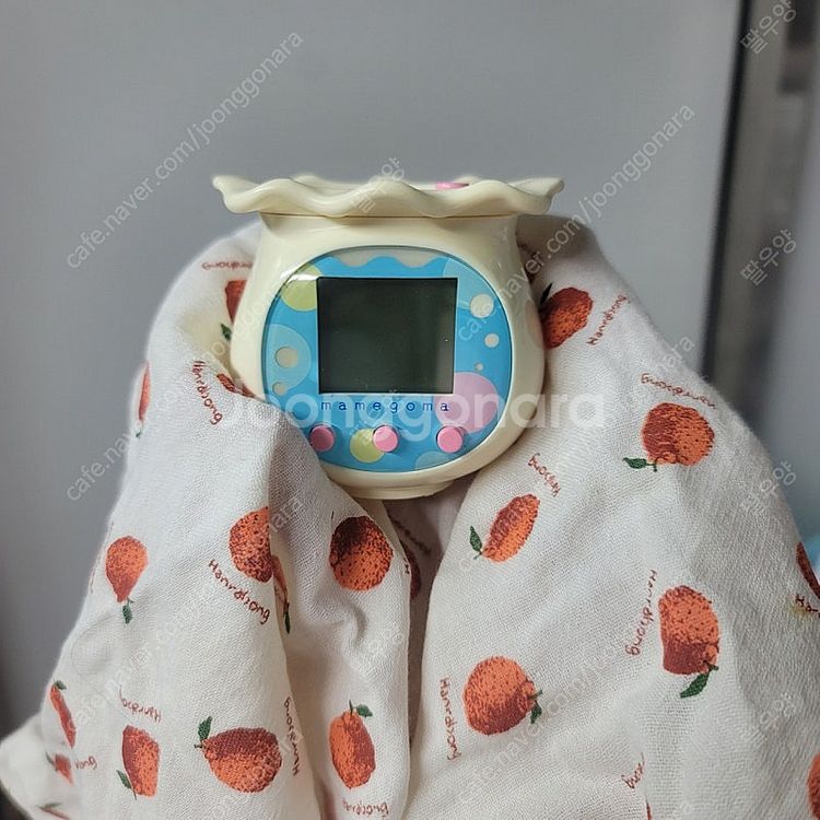 마메고마 사육일기 다마고치 가격내림--2