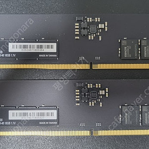 ESSENCORE KLEVV DDR5-5600 CL46 (16GB×2)