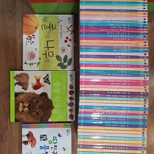 웅진북클럽 땅친구 물친구 최신 개정판(택포)-가격내림