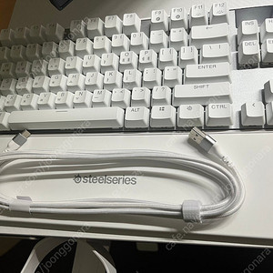 스틸레전드 apex pro gen3 white 화이트